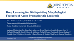 Deep Learning for Distinguishing Morphological Features of Acute Promyelocytic Leukemia