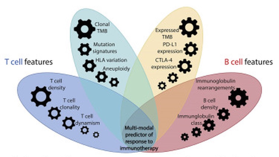 Integrative Tumor and Immune Cell Multi-omic Analyses Predict Response to Immune Checkpoint Blockade in Melanoma