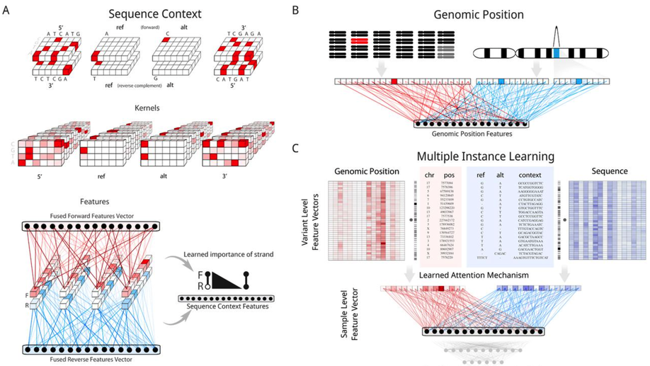 Aggregation Tool for Genomic Concepts (ATGC): A deep learning framework for sparse genomic measures and its application to tumor mutational burden