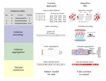 Multiple-instance learning of somatic mutations for the classification of tumour type and the prediction of microsatellite status