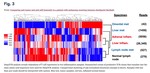 Comparing anti-tumor and anti-self immunity in a patient with melanoma receiving immune checkpoint blockade