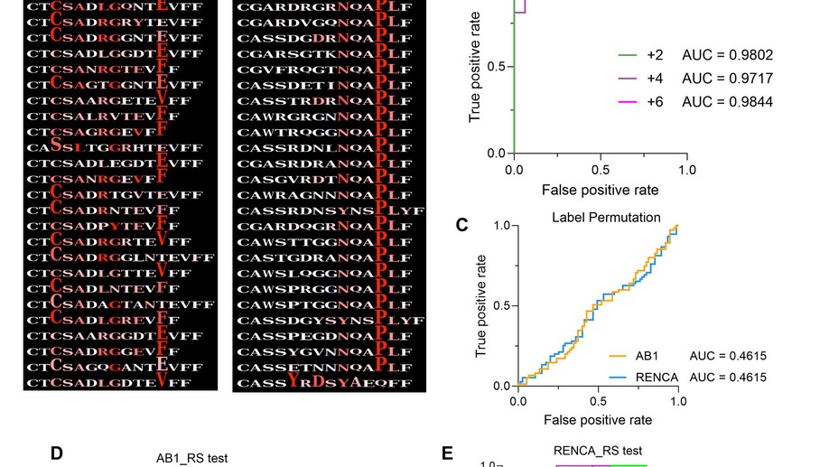 Immune checkpoint therapy responders display early clonal expansion of tumor infiltrating lymphocytes