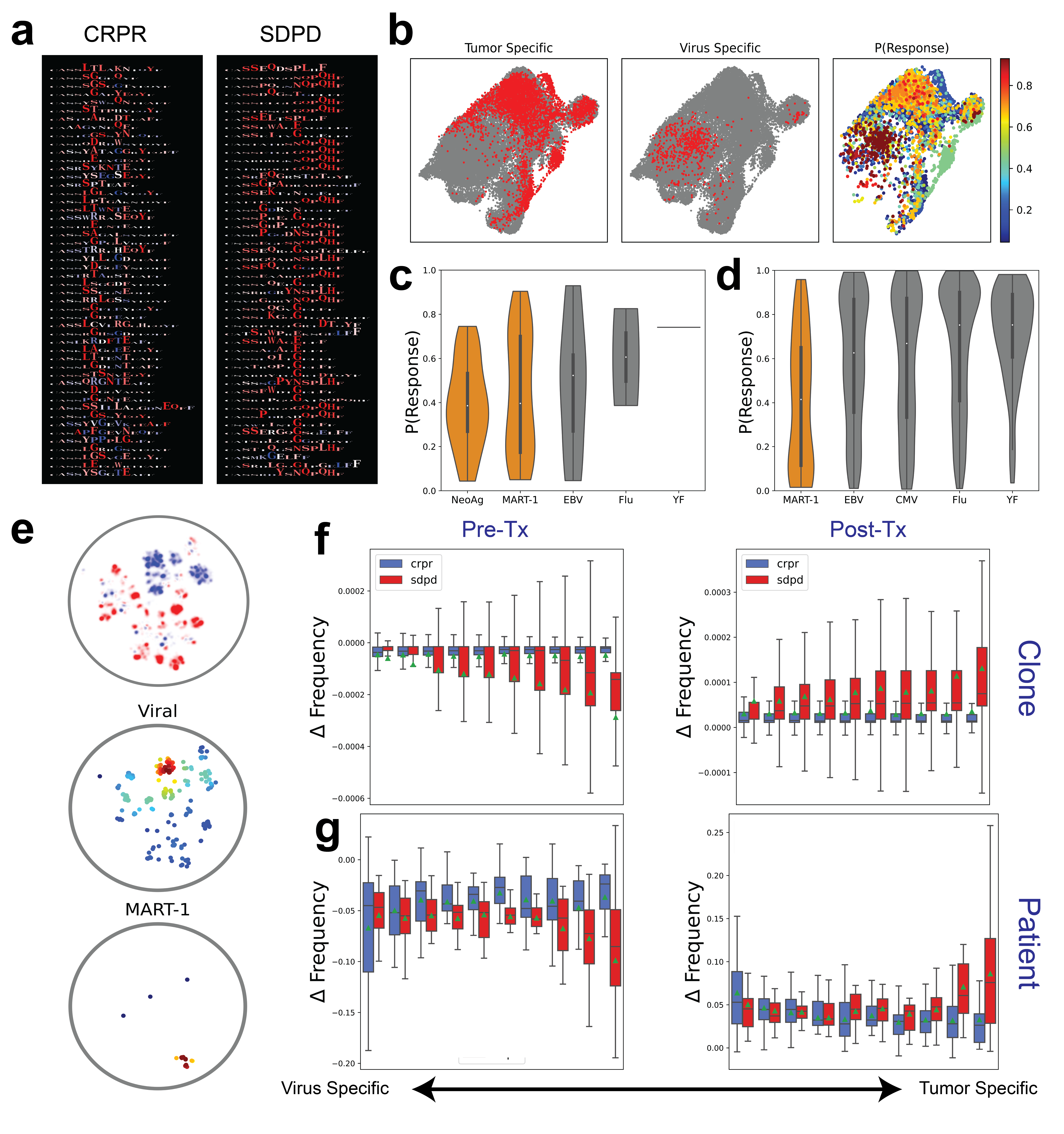 Deep learning reveals predictive sequence concepts within immune