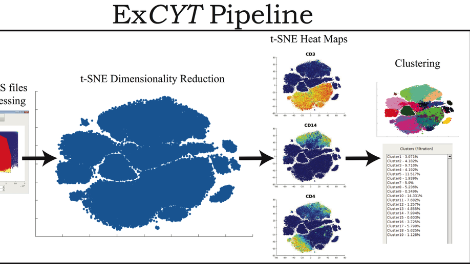 ExCYT: A Graphical User Interface for Streamlining Analysis of High-Dimensional Cytometry Data