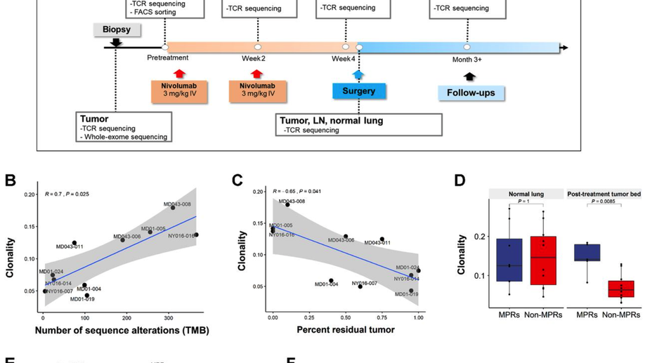 Compartmental Analysis of T-cell Clonal Dynamics as a Function of Pathologic Response to Neoadjuvant PD-1 Blockade in Resectable Non–Small Cell Lung Cancer